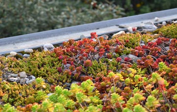the cost of West Itchenor green roof installation