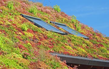 West Itchenor living roof systems